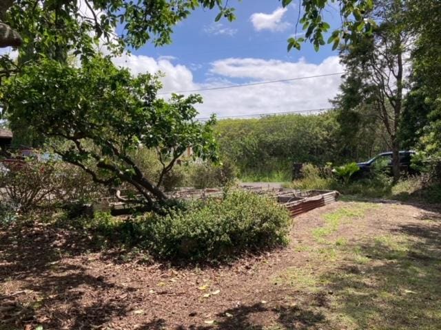94-1790 Kaulua St, Naalehu, HI 96772 - view of undeveloped land