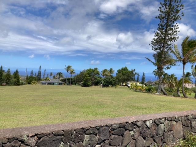 94-1790 Kaulua St, Naalehu, HI 96772 - view of green lawn