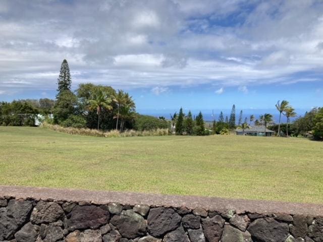 94-1790 Kaulua St, Naalehu, HI 96772 - view of grassy yard