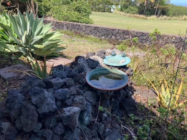 94-1790 Kaulua St, Naalehu, HI 96772 - exterior view