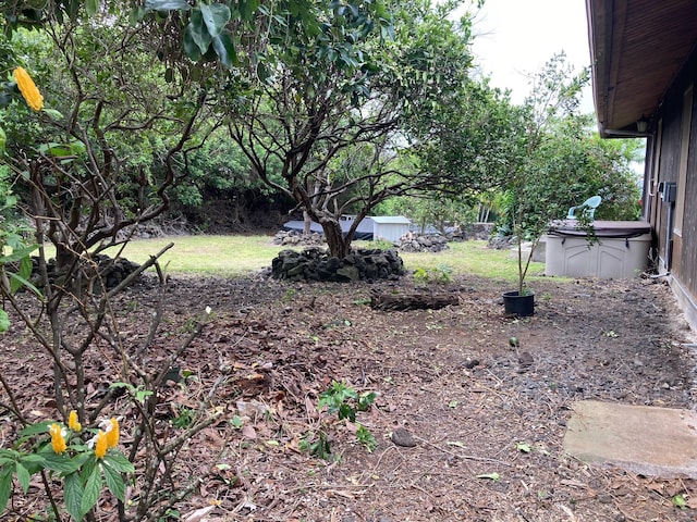 94-1790 Kaulua St, Naalehu, HI 96772 - view of yard
