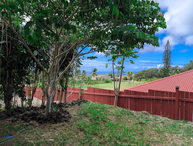94-1790 Kaulua St, Naalehu, HI 96772 - view of yard