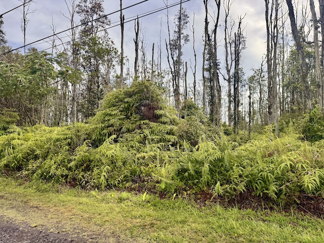 16-2165 Sugarcane Ln, Pahoa, HI 96778