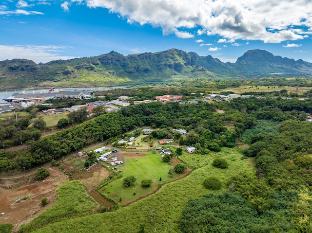 Kahumoku Rd Unit 6, Lihue, HI 96766