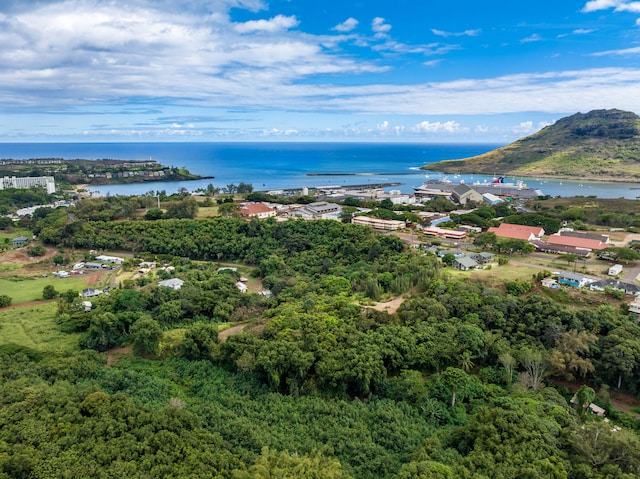 Kahumoku Rd Unit 6, Lihue, HI 96766