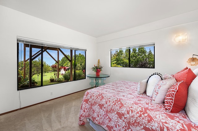 75-5339-G Mamalahoa Hwy, Holualoa, HI 96725 - photo 20