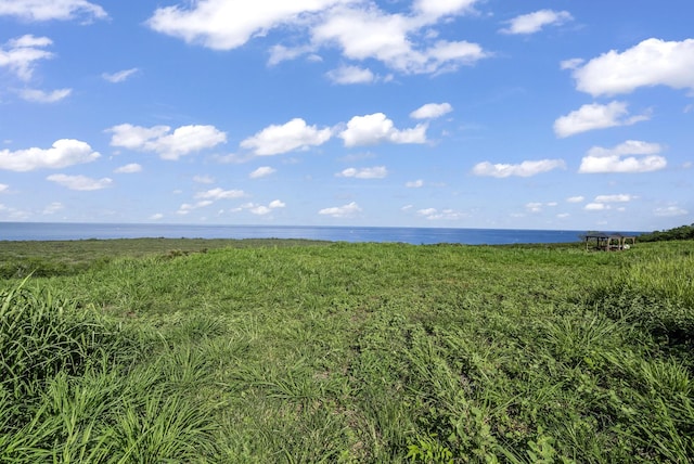 85-4471 Kapia Rd, Captain Cook, HI 96704 - photo 25