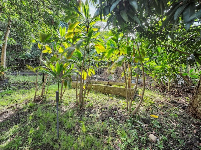 74-5156 Kialoa Pl, Kailua-Kona, HI 96740 - view of local wilderness