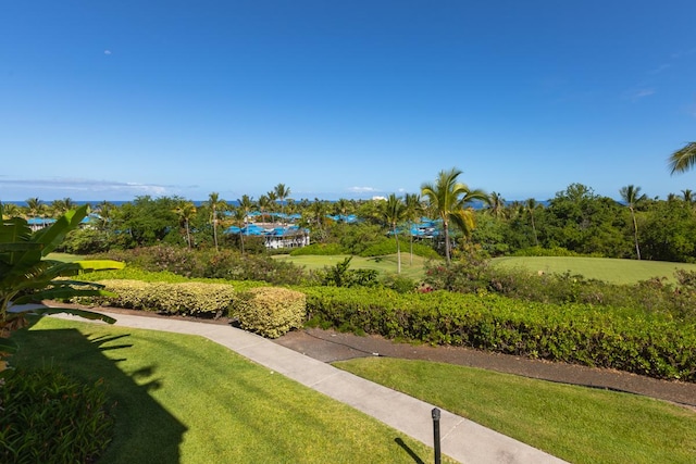 78-7070 Alii Dr Unit B202, Kailua-Kona, HI 96740 - view of green lawn