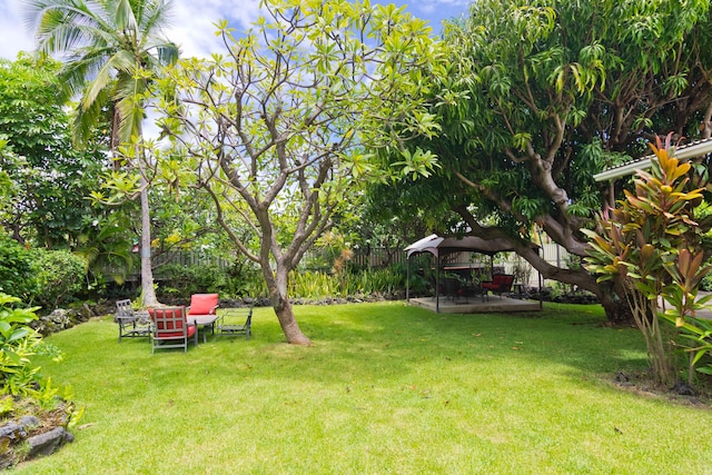 82-6274 Kahauloa St, Captain Cook, HI 96704 - photo 5