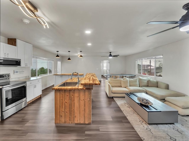 74-5071 Kealapua St, Kailua-Kona, HI 96740 - living area with ceiling fan, dark wood-type flooring, and recessed lighting