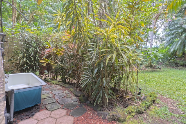 14-347 Papaya Farms Rd, Pahoa, HI 96778 - photo 7
