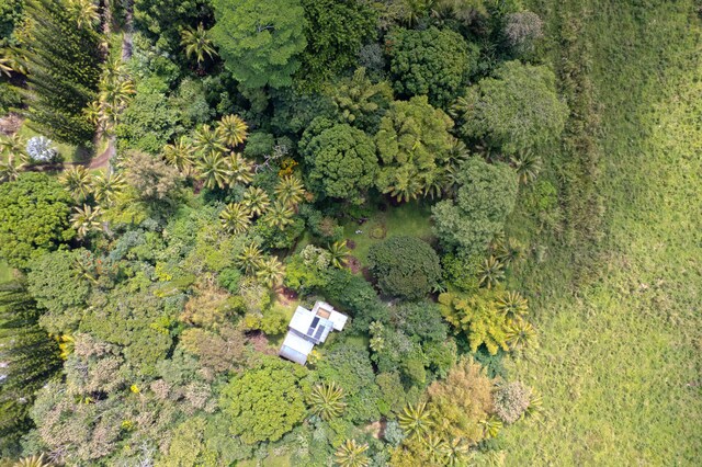 14-347 Papaya Farms Rd, Pahoa, HI 96778 - photo 30