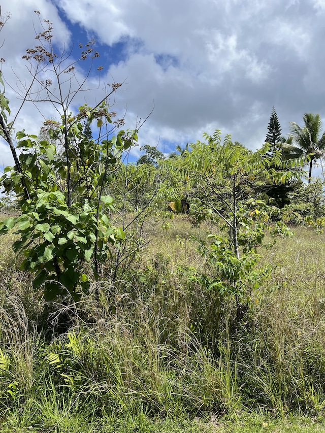 Waioleka St, Pahoa, HI 96778 - photo 2