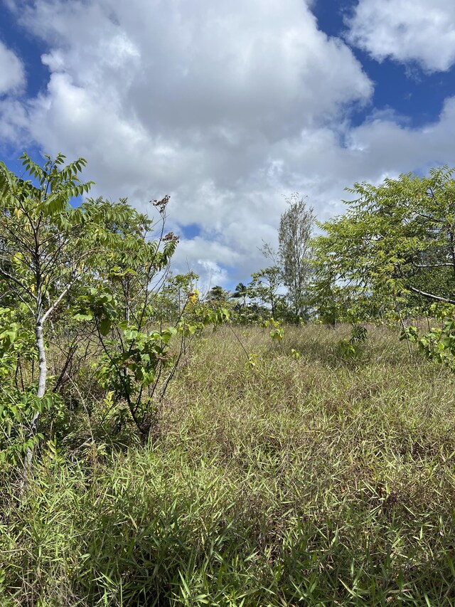 Waioleka St, Pahoa, HI 96778 - photo 3