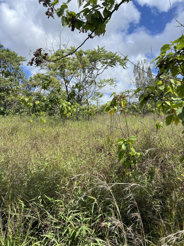 Waioleka St, Pahoa, HI 96778 - photo 4