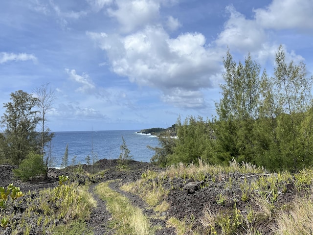 Waioleka St, Pahoa, HI 96778 - photo 11
