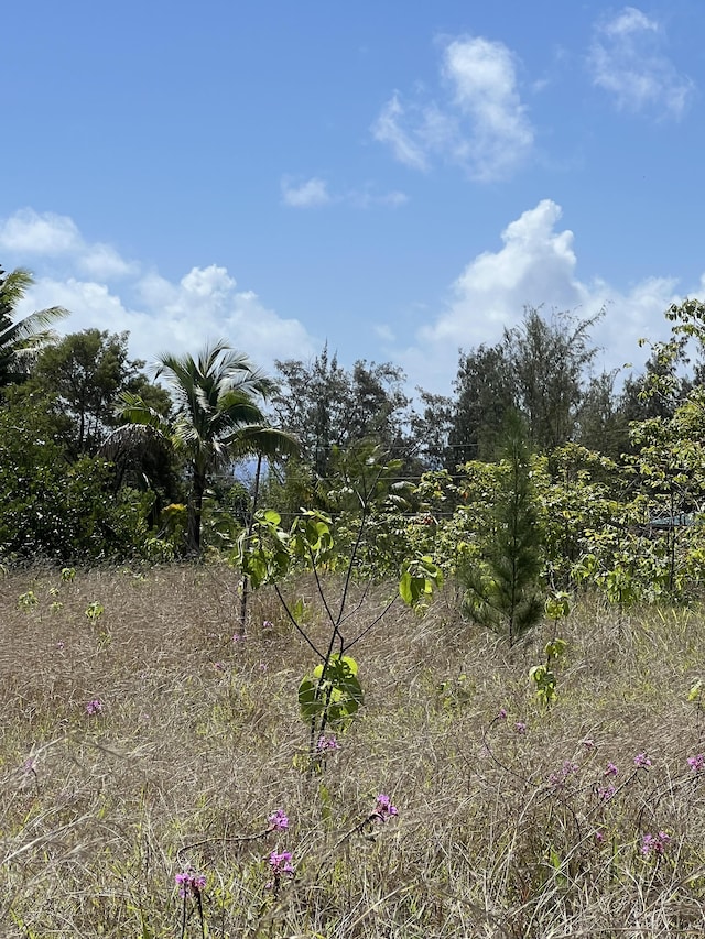 Waioleka St, Pahoa, HI 96778 - photo 1