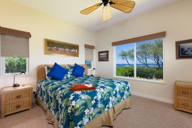 69-1634 Puako Beach Dr, Kamuela, HI 96743 - photo 19