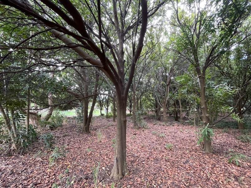 Puka St, Naalehu, HI 96772
