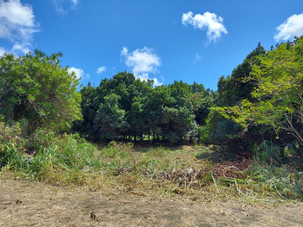 Puka St, Naalehu, HI 96772