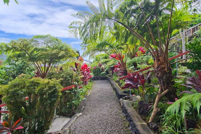 73-4327 Oneone St, Kailua-Kona, HI 96740 - view of yard