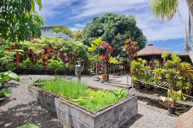 73-4327 Oneone St, Kailua-Kona, HI 96740 - view of yard with a gazebo and a vegetable garden