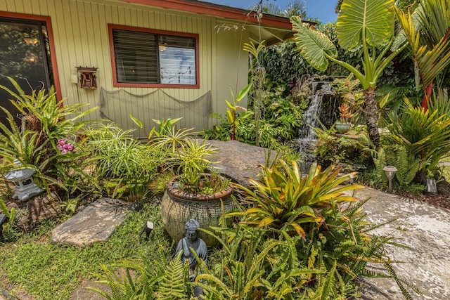 4030 Pauahi Pl, Princeville, HI 96722 - view of yard