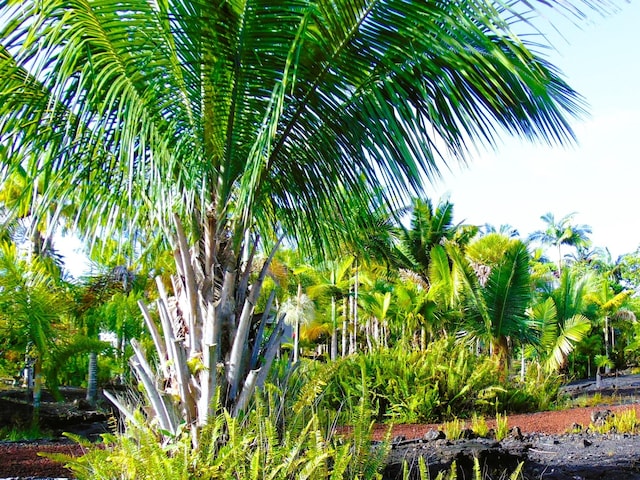 3rd Ave, Keaau, HI 96749