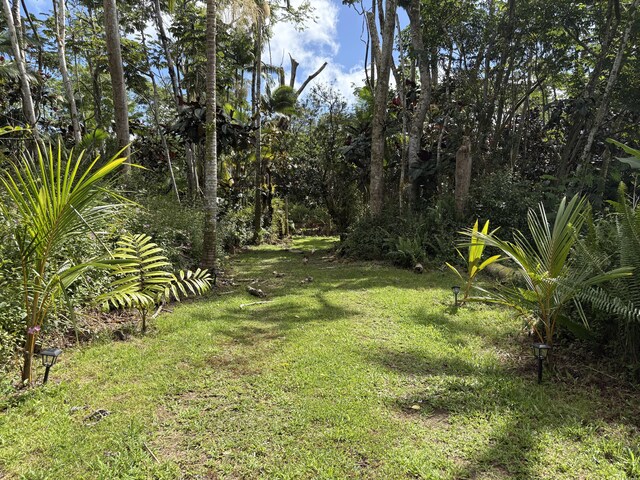 13-3359 Moku St, Pahoa, HI 96778