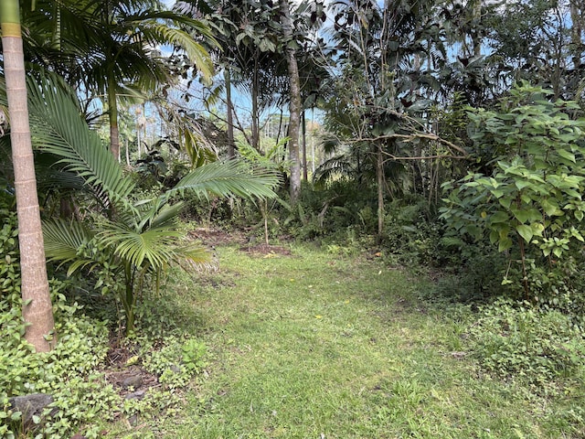 13-3359 Moku St, Pahoa, HI 96778