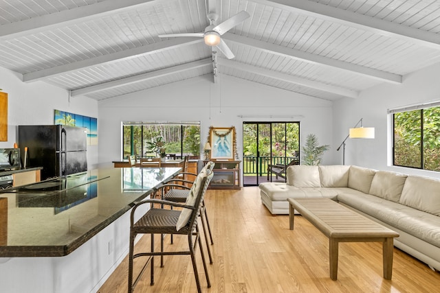 14-3531 Nanawale Blvd, Pahoa, HI 96778 - living room with light wood finished floors and a ceiling fan