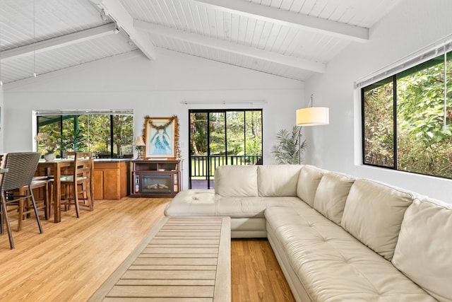 14-3531 Nanawale Blvd, Pahoa, HI 96778 - living area featuring light wood-style flooring, plenty of natural light, and a glass covered fireplace