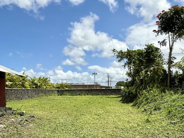 1969-A Kilauea Ave, Hilo, HI 96720 - view of green lawn