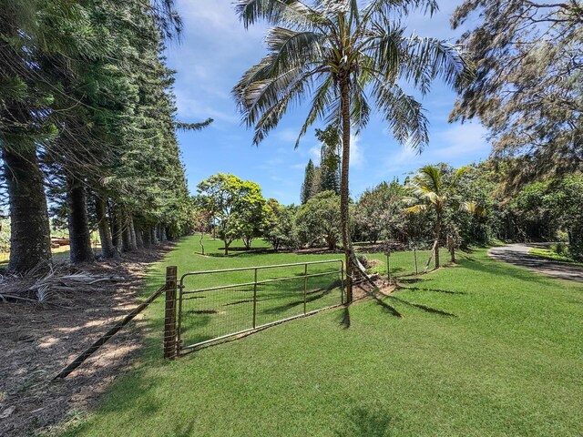 55-1096 Kaauhuhu Homestead Rd, Hawi, HI 96755 - photo 1