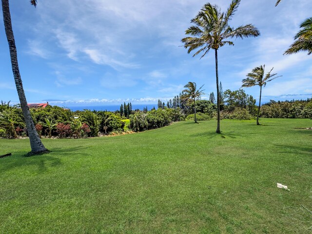 55-1096 Kaauhuhu Homestead Rd, Hawi, HI 96755 - photo 19