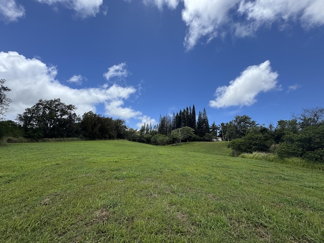 55-1096 Kaauhuhu Homestead Rd, Hawi, HI 96755 - photo 26