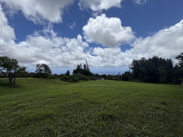 55-1096 Kaauhuhu Homestead Rd, Hawi, HI 96755 - photo 27