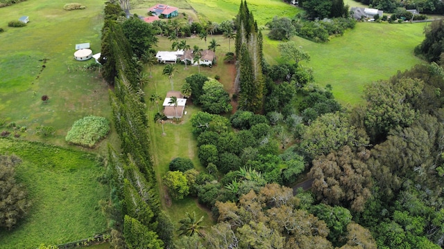 55-1096 Kaauhuhu Homestead Rd, Hawi, HI 96755 - photo 28