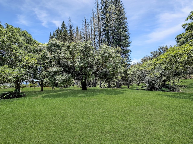 55-1096 Kaauhuhu Homestead Rd, Hawi, HI 96755 - photo 29