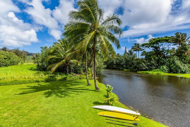 5-5550 Kuhio Hwy, Hanalei, HI 96714 - photo 5