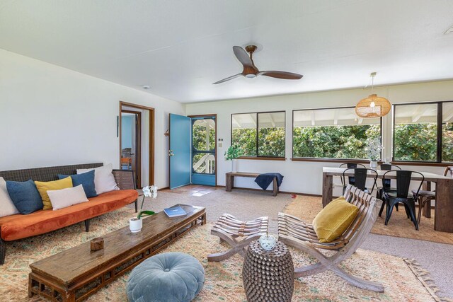 5-5550 Kuhio Hwy, Hanalei, HI 96714 - photo 9