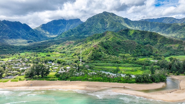 5-5550 Kuhio Hwy, Hanalei, HI 96714 - photo 29