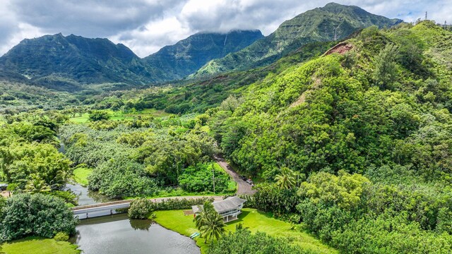 5-5550 Kuhio Hwy, Hanalei, HI 96714 - photo 27