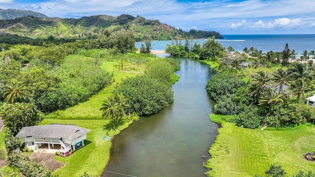 5-5550 Kuhio Hwy, Hanalei, HI 96714 - photo 4