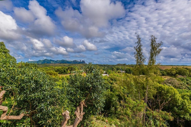 5372 Kumole St, Kapaa, HI 96746 - view of undeveloped land