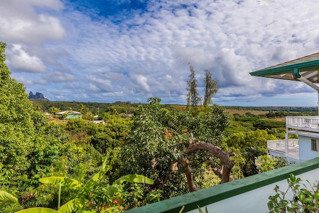 5372 Kumole St, Kapaa, HI 96746 - view of balcony