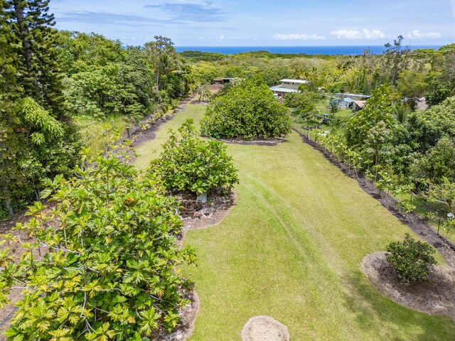 Kamaili Rd, Pahoa, HI 96778 - photo 1
