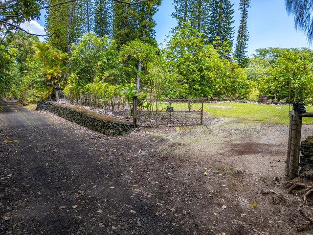 Kamaili Rd, Pahoa, HI 96778 - photo 2