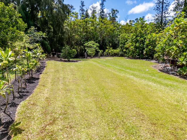 Kamaili Rd, Pahoa, HI 96778 - photo 3